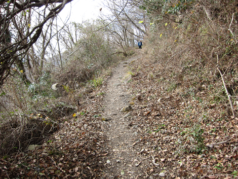 20200122hike (66)